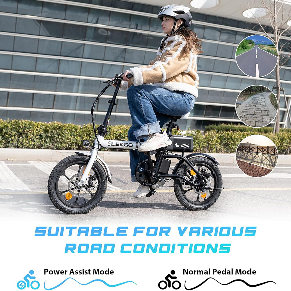 ELEKGO E Bike Folding Bike